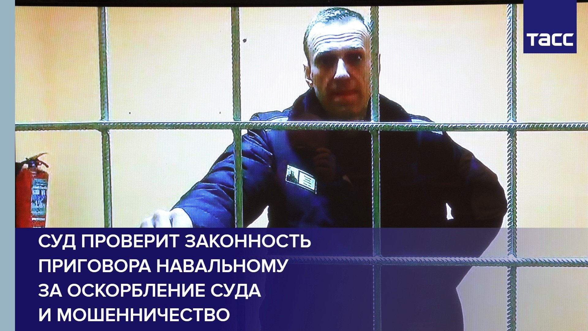 Суд проверит законность приговора Навальному за оскорбление суда и мошенничество #shorts