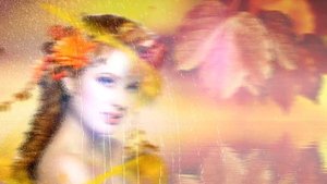 Футаж Краски Осени