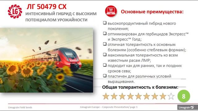Обзор гибрида ЛГ 50479 СХ / Гибрид подсолнечника