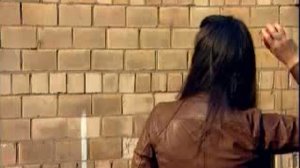 Среда обитания.  Тот еще фрукт (2010)