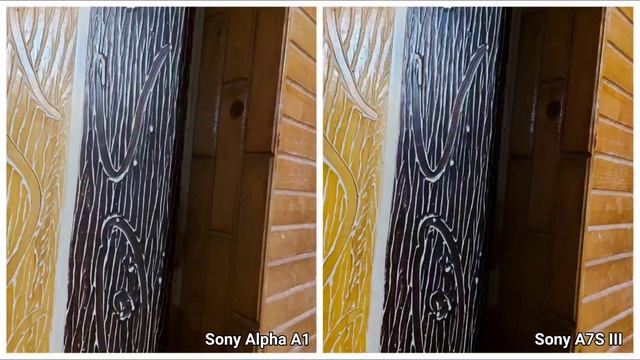 Sony Alpha A1 VS Sony A7S III | Camera Test смотреть онлайн