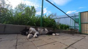 Славянск 5 мая 2023 Андрей Жигалов Облако Рай