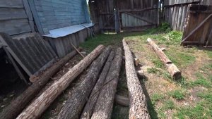 Счищать кору с дубового столба или нет. Почему нужно кору со столбов, стропил и т.д. очищать.