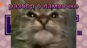 что правда случилось с лампочкой из и.н.м.т?!