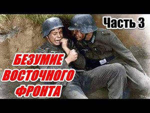 ВОСПОМИНАНИЯ АРТИЛЛЕРИСТА ВЕРМАХТА. Алоис Цвайгер. Часть 3