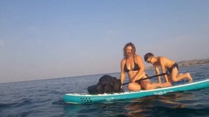 Феодосия Море Саборд Сапбоард