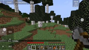 Играю в хардкор с другом