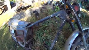 Проект Грязный Гарри