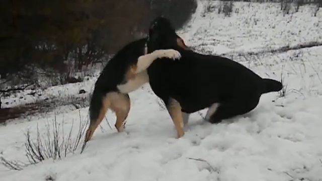 DSCN6933 смотреть онлайн