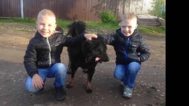 Соц ролик Они просто хотят жить# Автор Фролова Т А смотреть онлайн