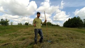 как сушить сено быстро и качественно, сушка сена вручную, заготовка сена