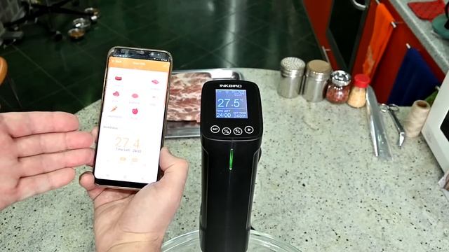 Су вид обзор INKBIRD / СВИНАЯ ШЕЯ Су вид. Выпуск №615 смотреть онлайн