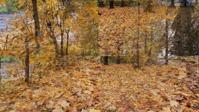 Рыбинск, осенняя красота