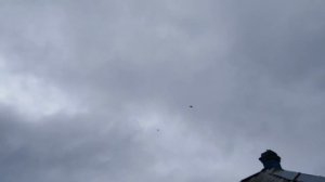 Николаевские торцовые голуби ""Подкидки молодёжи ""