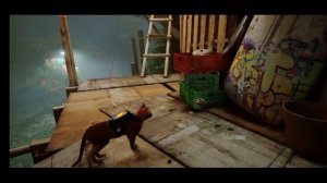 ПРОДОЛЖЕНИЕ STRAY СКОРО БУДЕТ АНОНСИРОВАНО?!