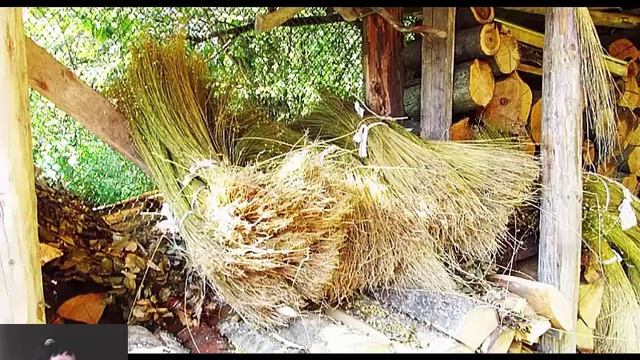 Выращивание и обработка льна. Пряжа лен. Кудель. Волокна льна. Все из крапивы. смотреть онлайн