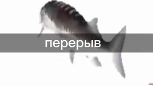 Реакция ПВЛ из 12 века на тик ток. |AU| скорость на 0,5 -0,75.