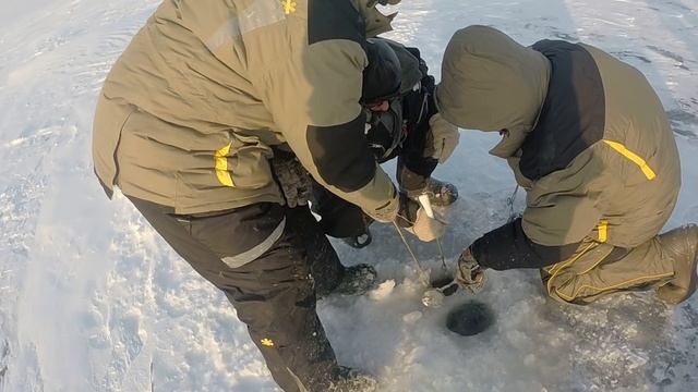 Судак 11 кг 300 грамм, Рыбинка, 5 января 2016 - длина судака 103 сантиметра смотреть онлайн