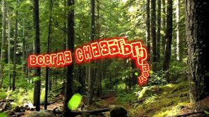 цитаты, умные мысли, всем добра🙏