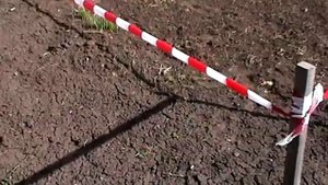 Какой сорт картошки лучше.  Часть 1.  Вступление,