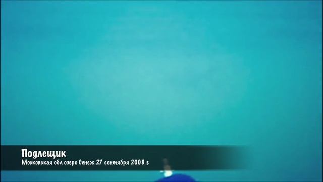 Подводный охотник, подлещик и прикол. Видеопробы смотреть онлайн