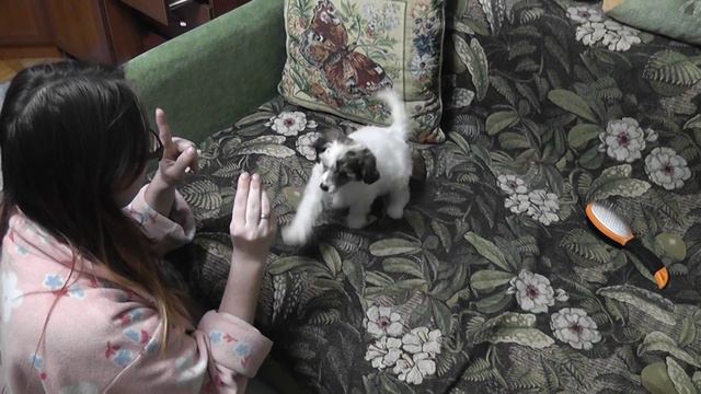 ИМХО учит новые команды (1/2) смотреть онлайн