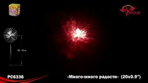 Много-много радости 0,9х20