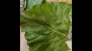 Это ж надо, сколько всего...#Shorts