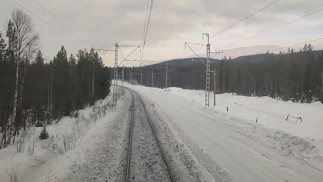 Опоры есть, а путей нет! Лоси на пути! Биотуалет. смотреть онлайн