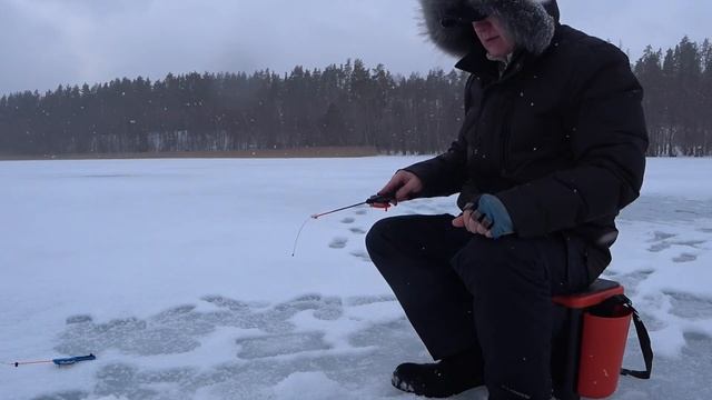 Окунь на озере Петровском! Зимняя рыбалка в марте. Perch on Lake Petrovskoe! Winter fishing in Marc смотреть онлайн