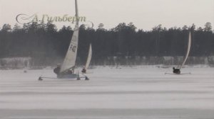 Новосибирская федерация парусного спорта. Буер.