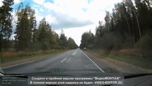 2 Гусь Хрустальный Курлово