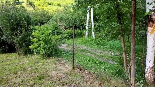 Поставил забор из рабицы за один день смотреть онлайн