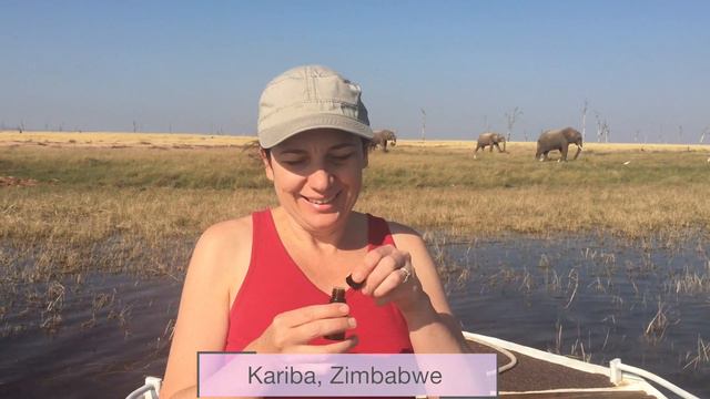 Lavender Around the World смотреть онлайн