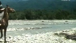 ДАТА ТУТАШХИА