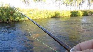 река Кирель в Сибири. рыбалка. 2021 г.