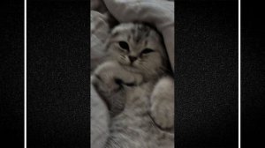 Андро - Я схожу с ума с тебя ну ты посмотри