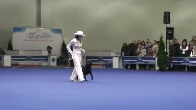 Евразия 2012, Фристайл. Кузина Ольга и Тутта Ларсон. смотреть онлайн