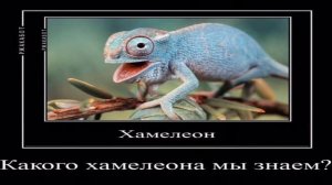 Разоблачение имени Даша