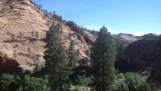 Лунные цветы Moon flowers смотреть онлайн