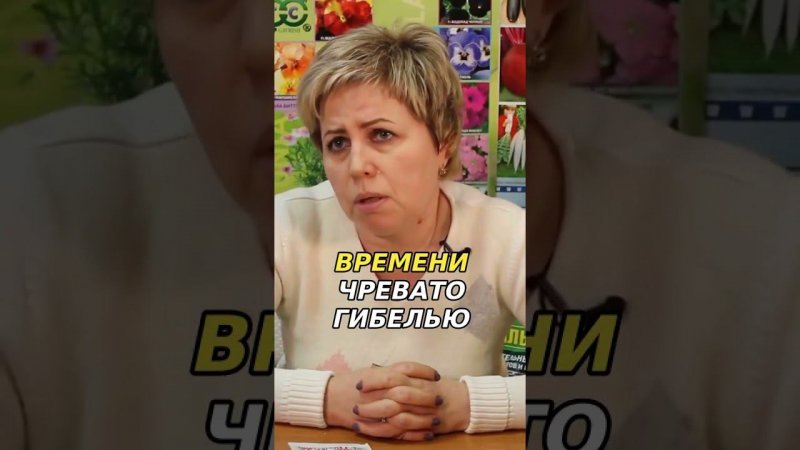 Опасность народных способов борьбы с плесенью и полеганием рассады