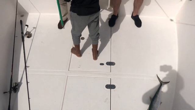 Рыбалка в Дубаях . Ловим Кинг Фиш в центре мегаполиса ! смотреть онлайн