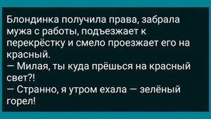 Теща Крепко Схватила Зятя За Хозяйство! Сборник Свежих Анекдотов! Юмор!