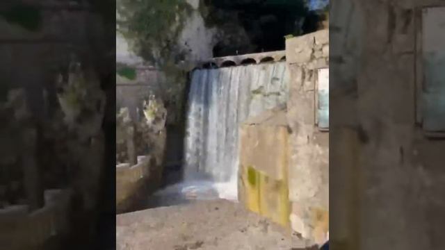 Самшитовая Роща. Экскурсии в праздничные дни