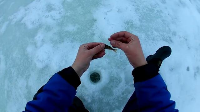 "Огромный" окунь на чертик :) смотреть онлайн