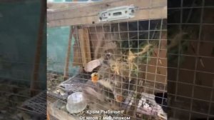 Крым Рыбачье Жилье у Моря