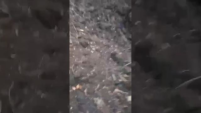 Видео от первого лица. Всё как есть в реальности на СВО. смотреть онлайн