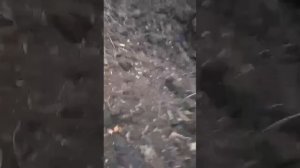 Видео от первого лица. Всё как есть в реальности на СВО.