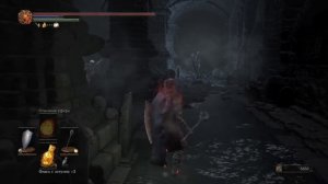 Dark Souls 3 - Полный Гайд. Все Секреты и Тактика. Часть 13. Катакомбы Картуса