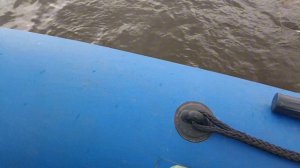 щука людоед атакует